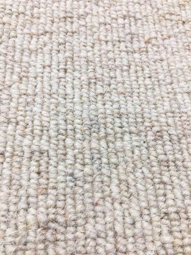 Carpet remnant roll end - carpet,