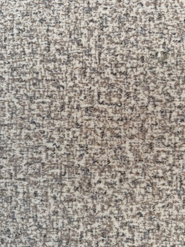Flotex carpet remnant - flotex,